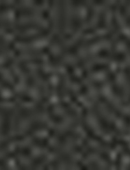 Siyah Oxford Ayakkabı - 50195401005