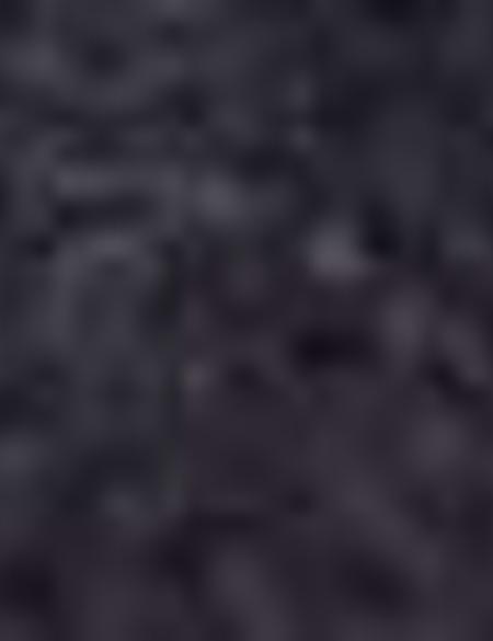 Lacivert Slim Fit Ayakkabı - 50195471003