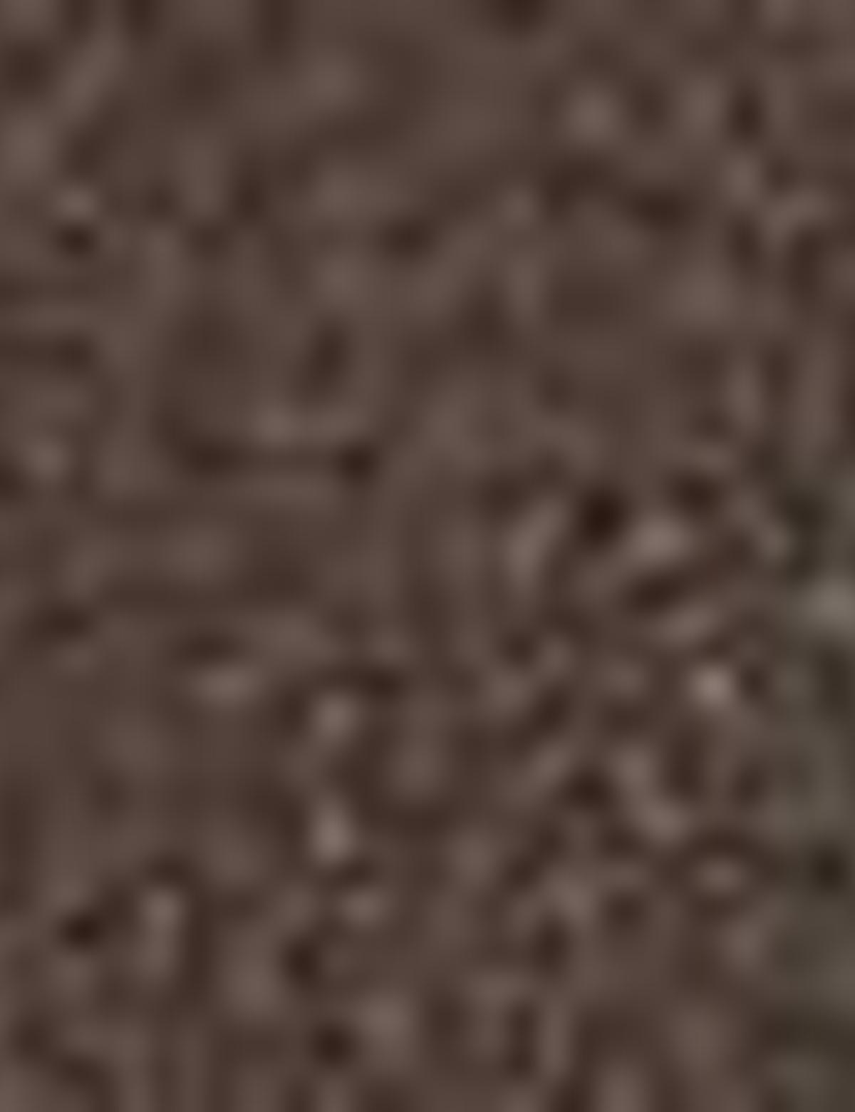 Kahverengi Oxford Ayakkabı - 50195475011