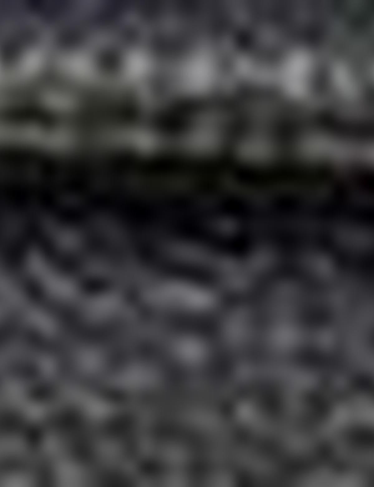 Siyah Ayakkabı - 50195492007