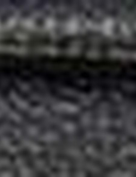 Siyah Ayakkabı - 50195492007