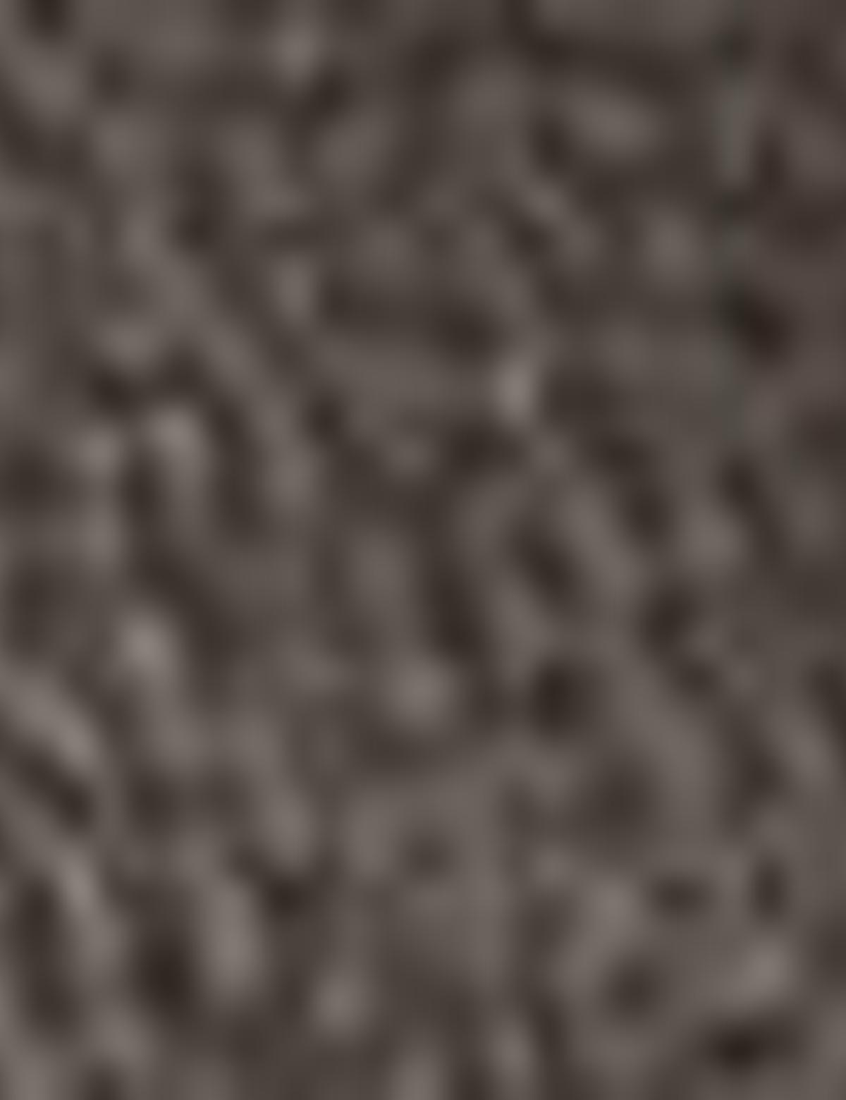 Kahverengi Klasik Ayakkabı - 50195492021