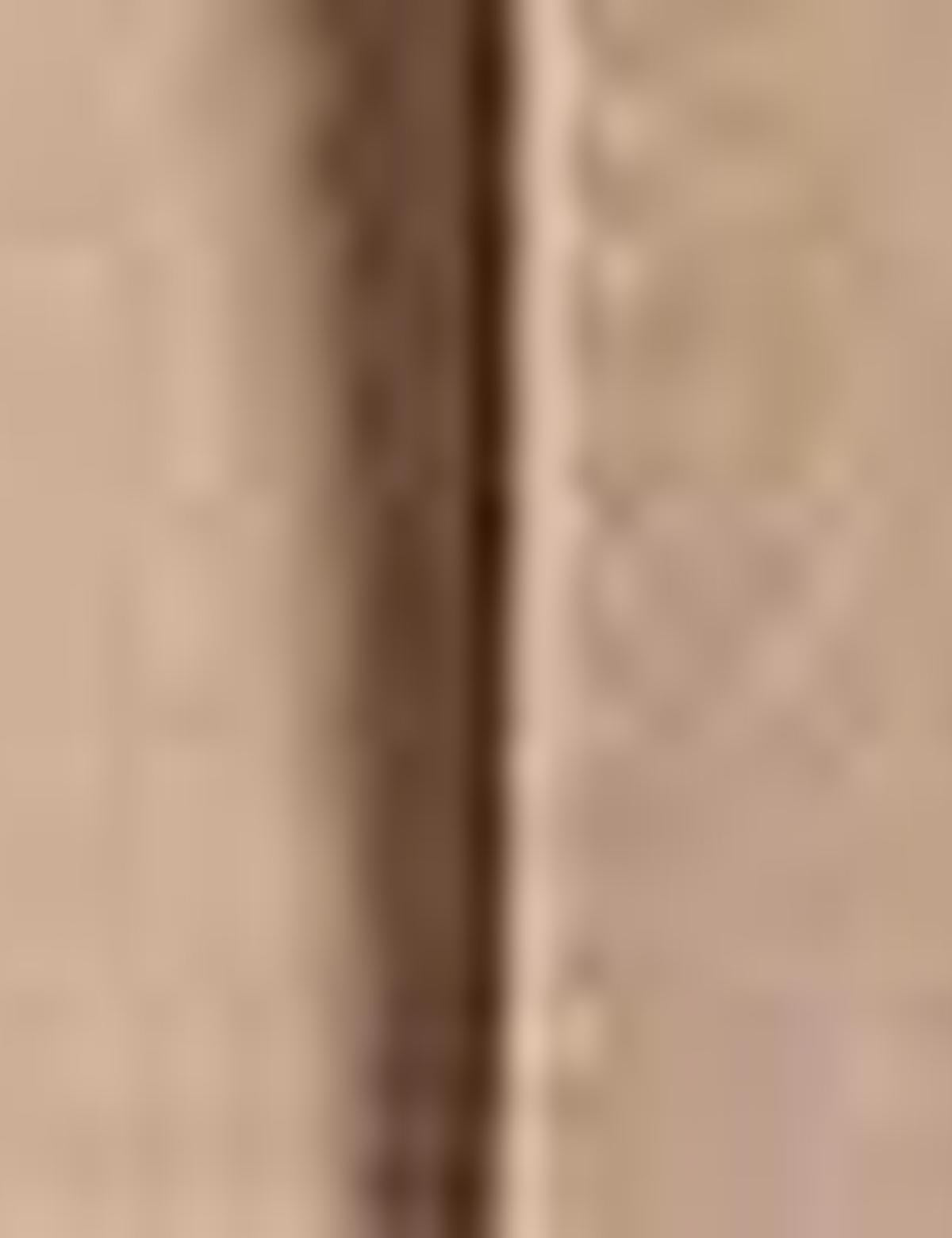 Camel Slim Fit Trençkot - 50198757001