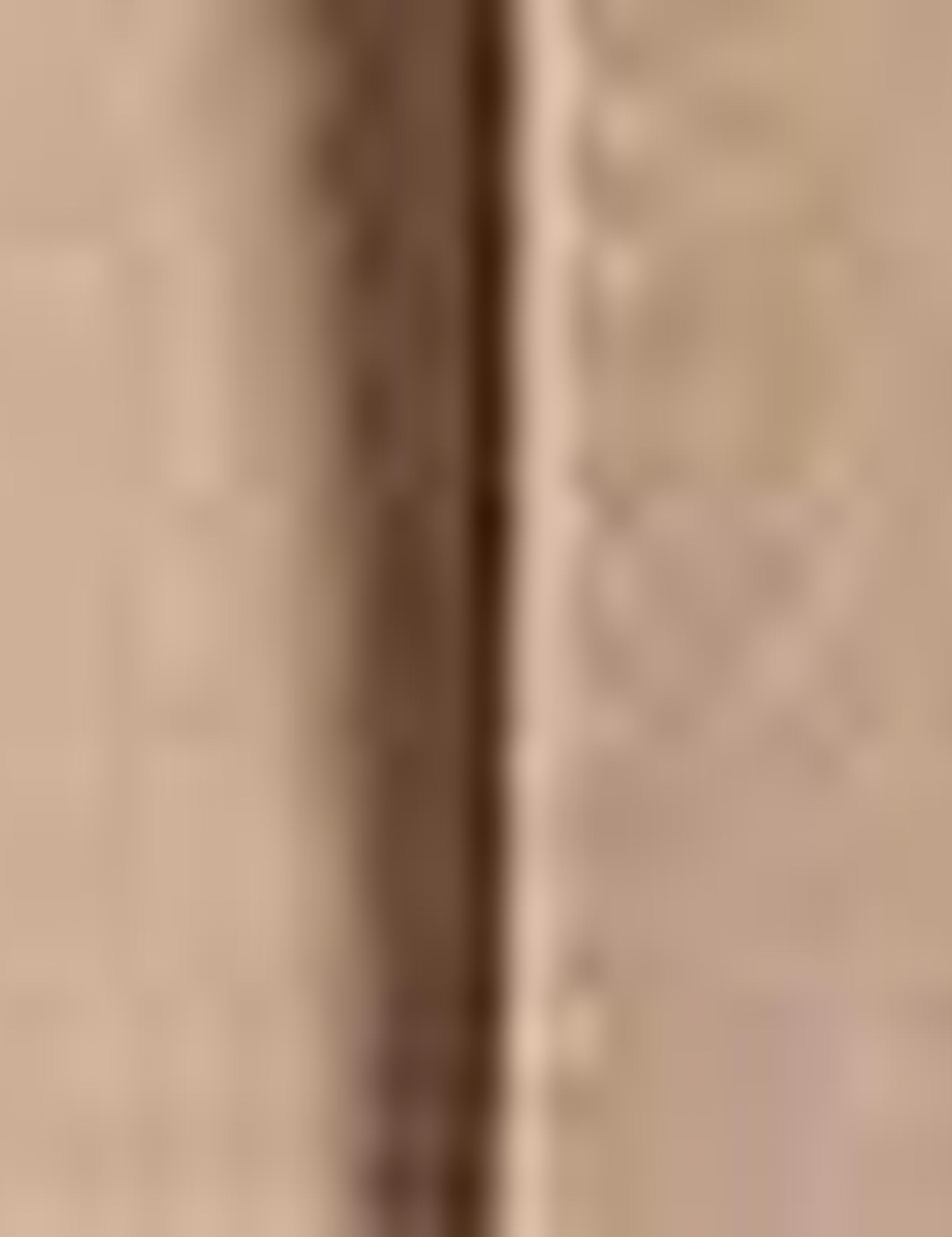 Camel Slim Fit Trençkot