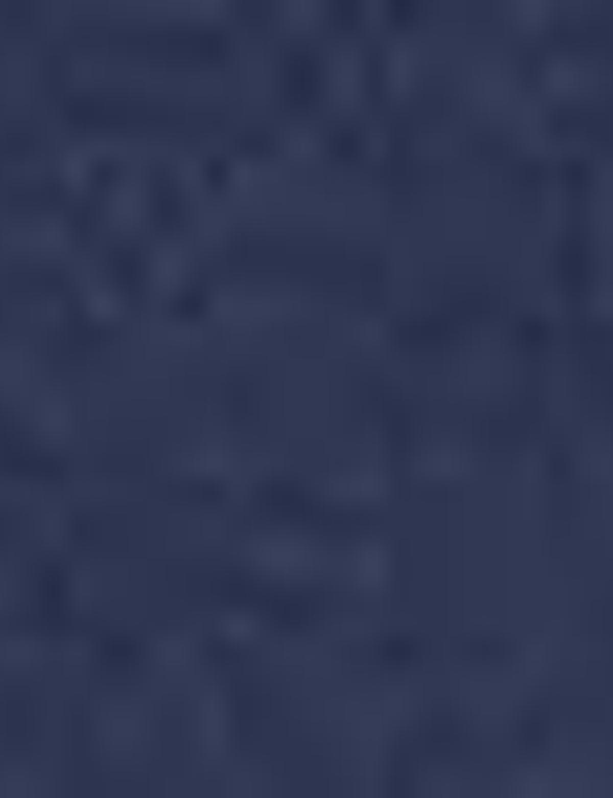 Lacivert Slim Fit Gömlek - 50198910025