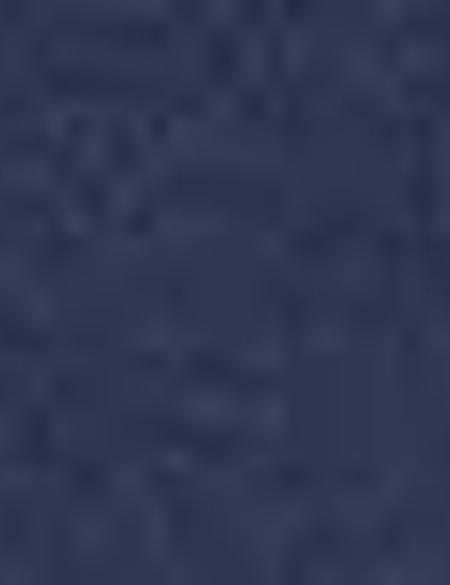 Lacivert Slim Fit Gömlek - 50198910025