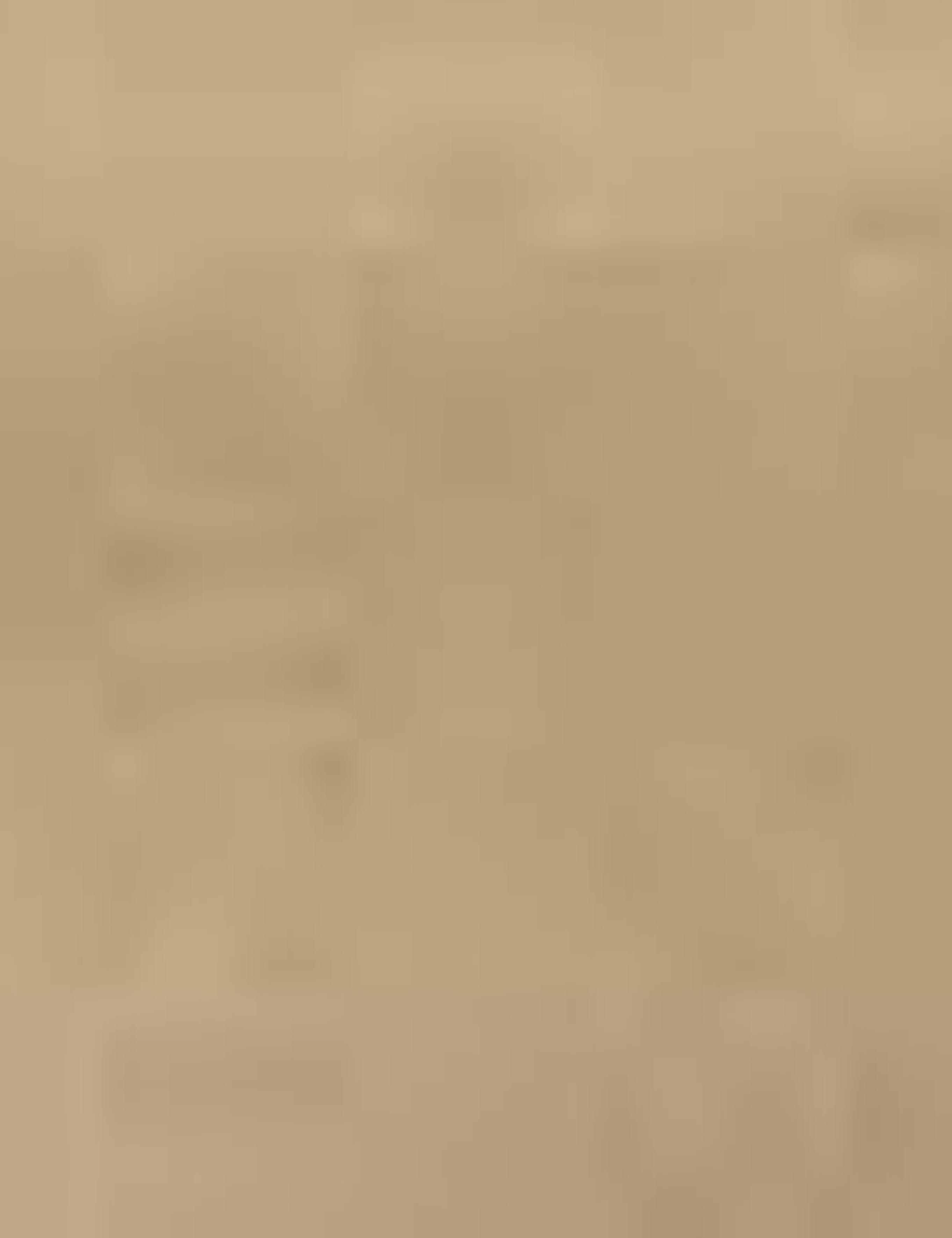 Camel Slim Fit Chino Pantolon