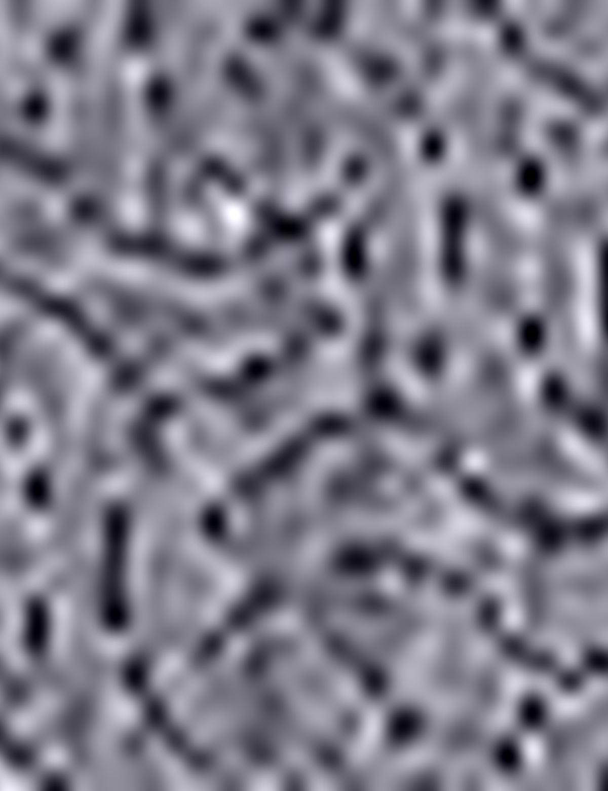 Siyah Slim Fit Polo Yaka T-Shirt - 50199310037