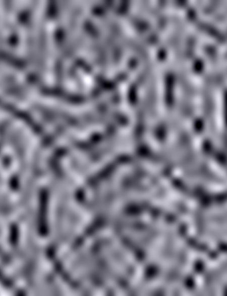 Siyah Slim Fit Polo Yaka T-Shirt - 50199310037