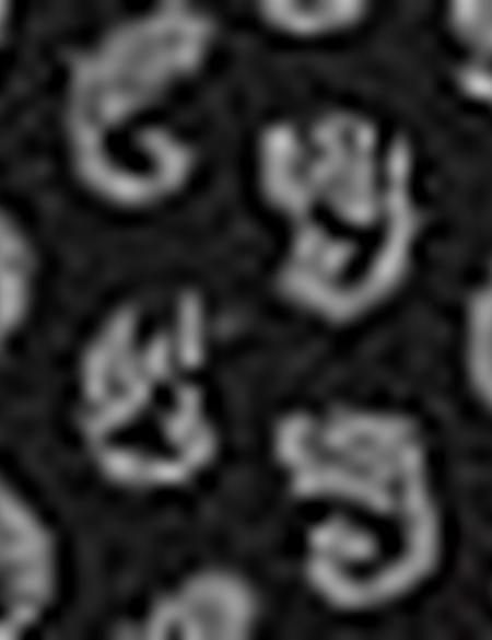 Siyah Slim Fit T-shirt - 50199496007