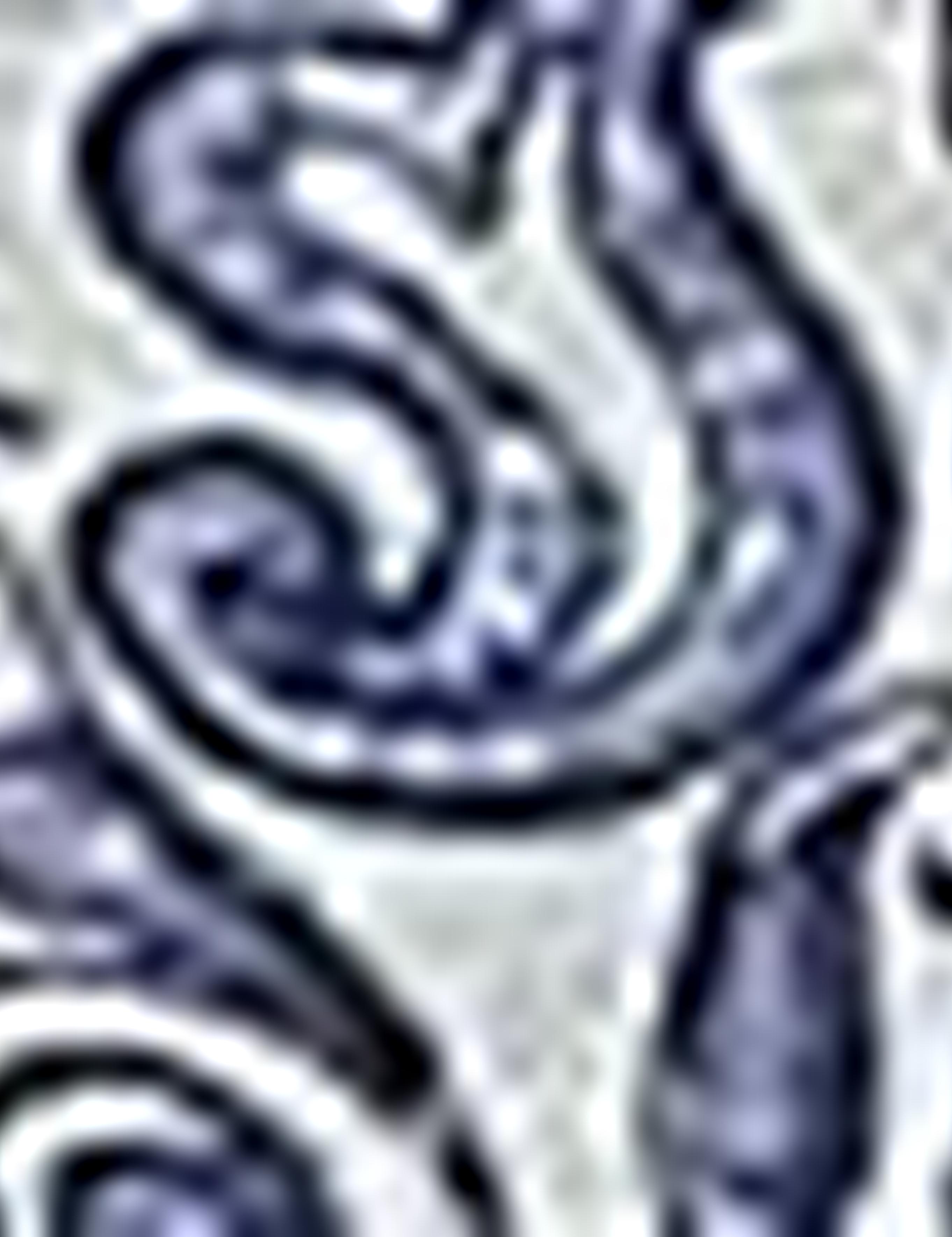 Lacivert Slim Fit Polo Yaka T-Shirt