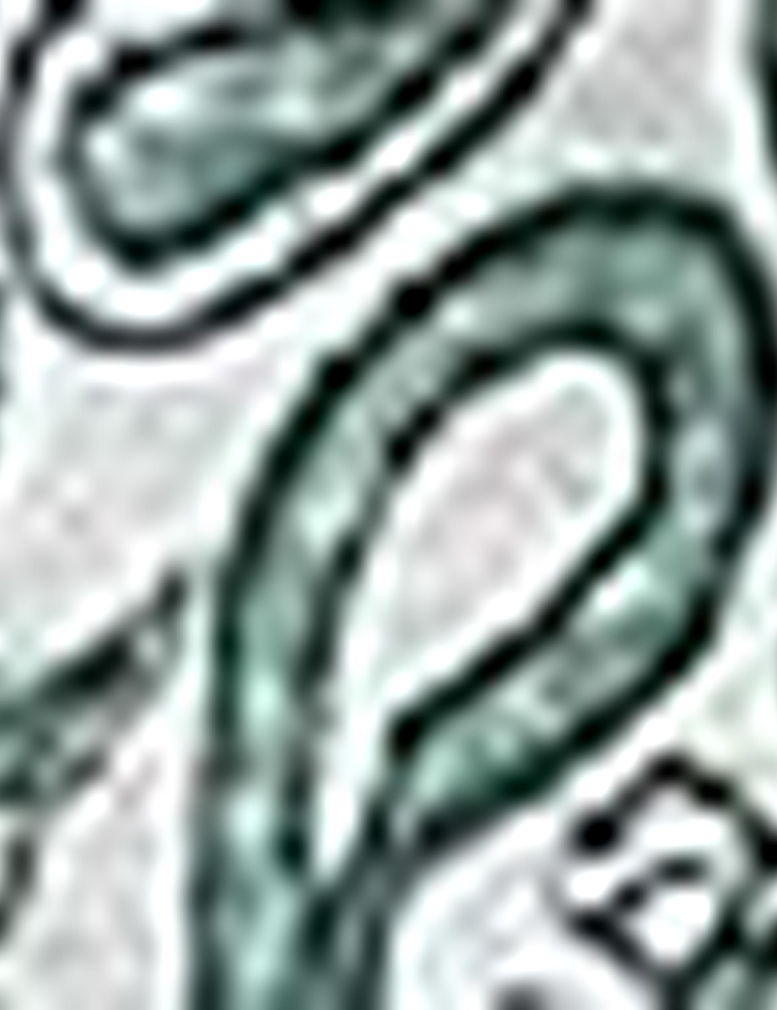 Koyu Yeşil Slim Fit Polo Yaka T-Shirt