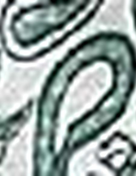 Koyu Yeşil Slim Fit Polo Yaka T-Shirt - 50199498020