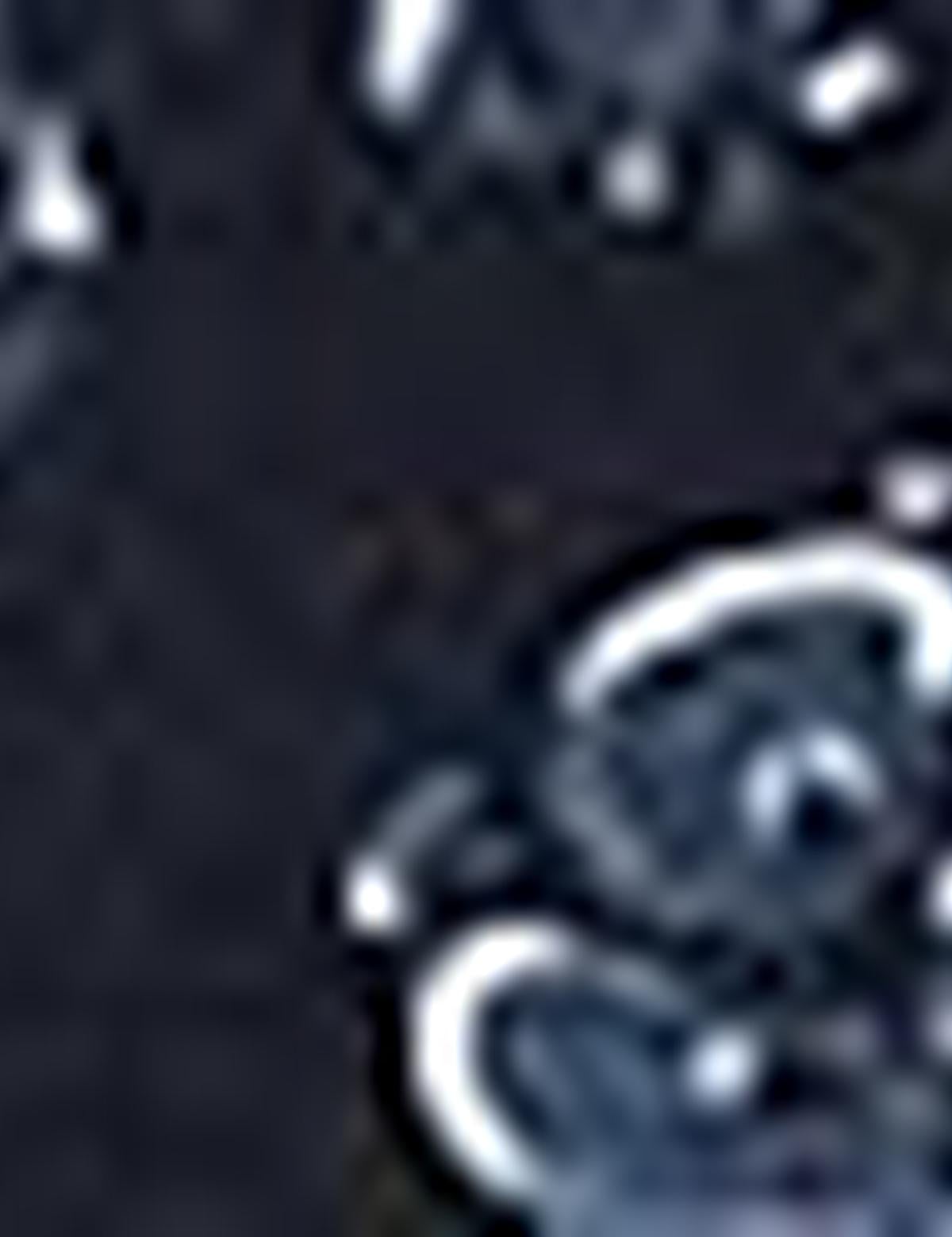 Mavi Slim Fit Polo Yaka T-Shirt - 50199503001