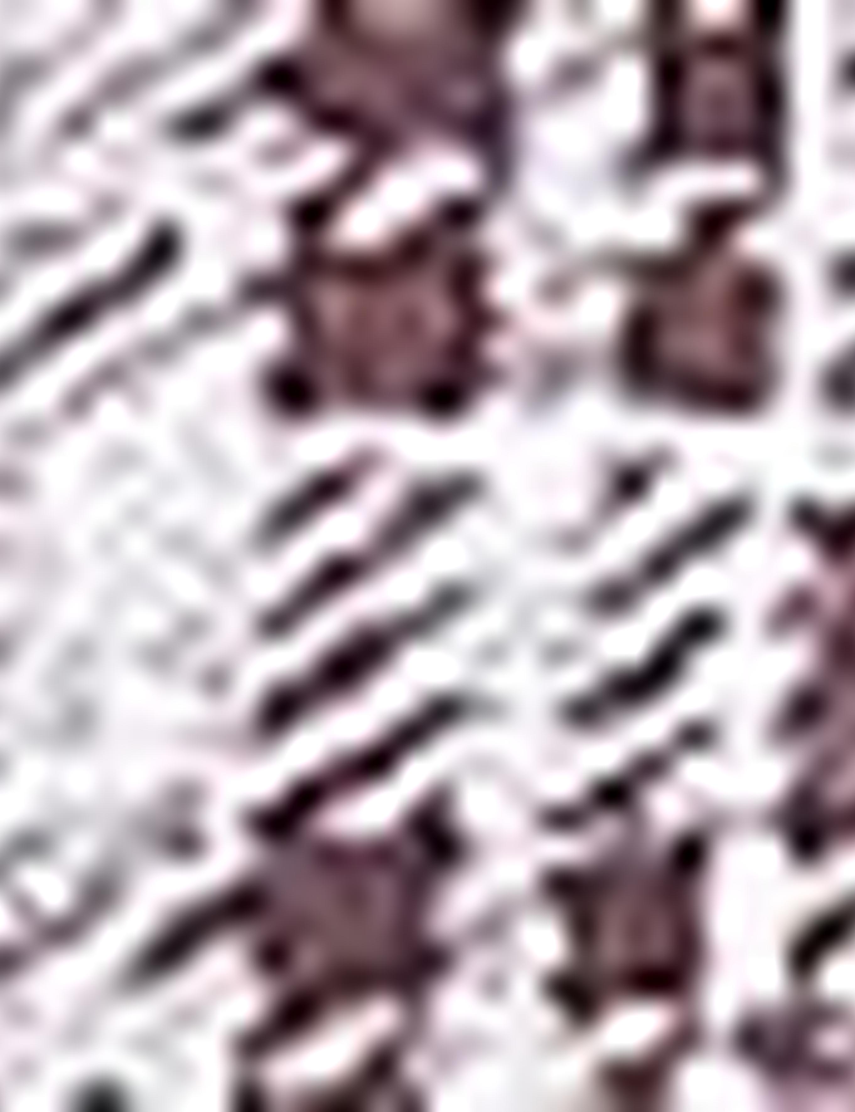 Bordo Slim Fit Polo Yaka Tişört