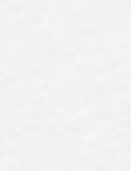 Beyaz Regular Fit Basic Tişört - 50199621004