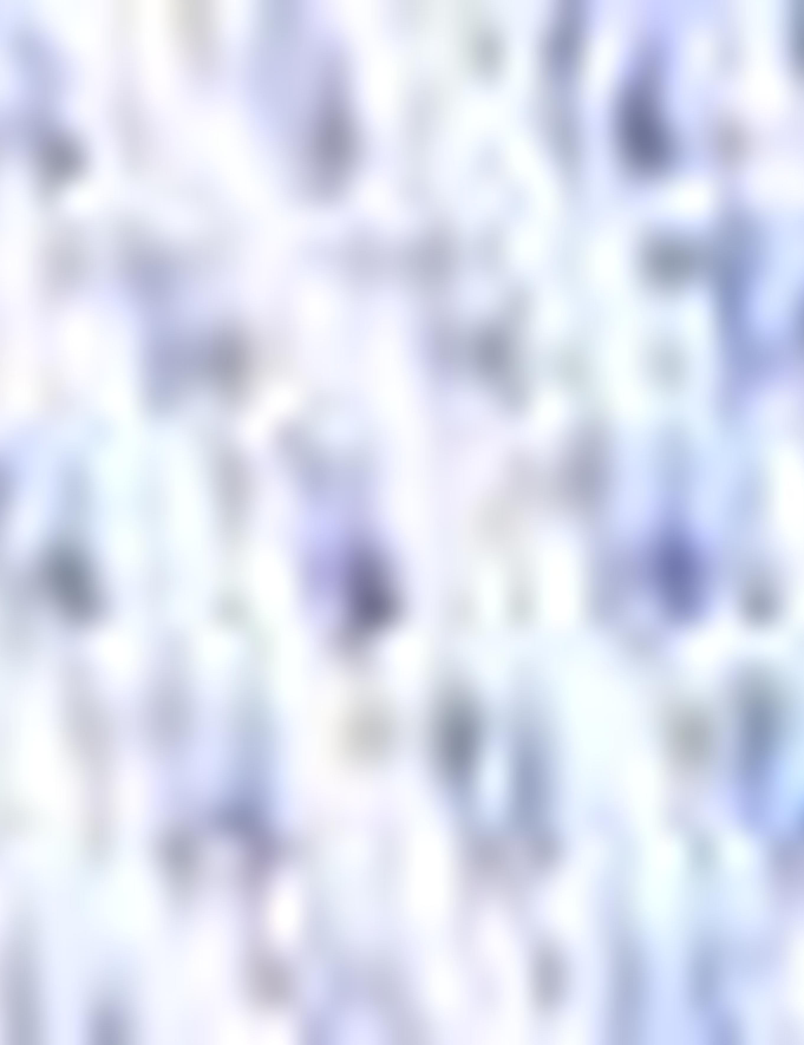 Açık Mavi Slim Fit Uzun Kollu Gömlek