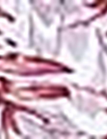 Bordo Slim Fit Uzun Kollu Gömlek - 50200592023