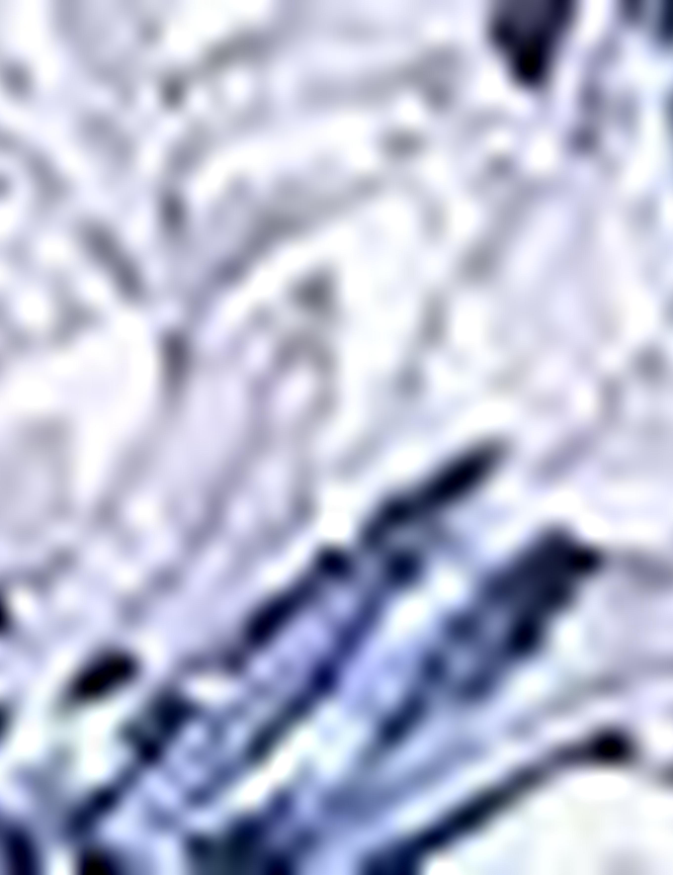 Lacivert Slim Fit Uzun Kollu Gömlek