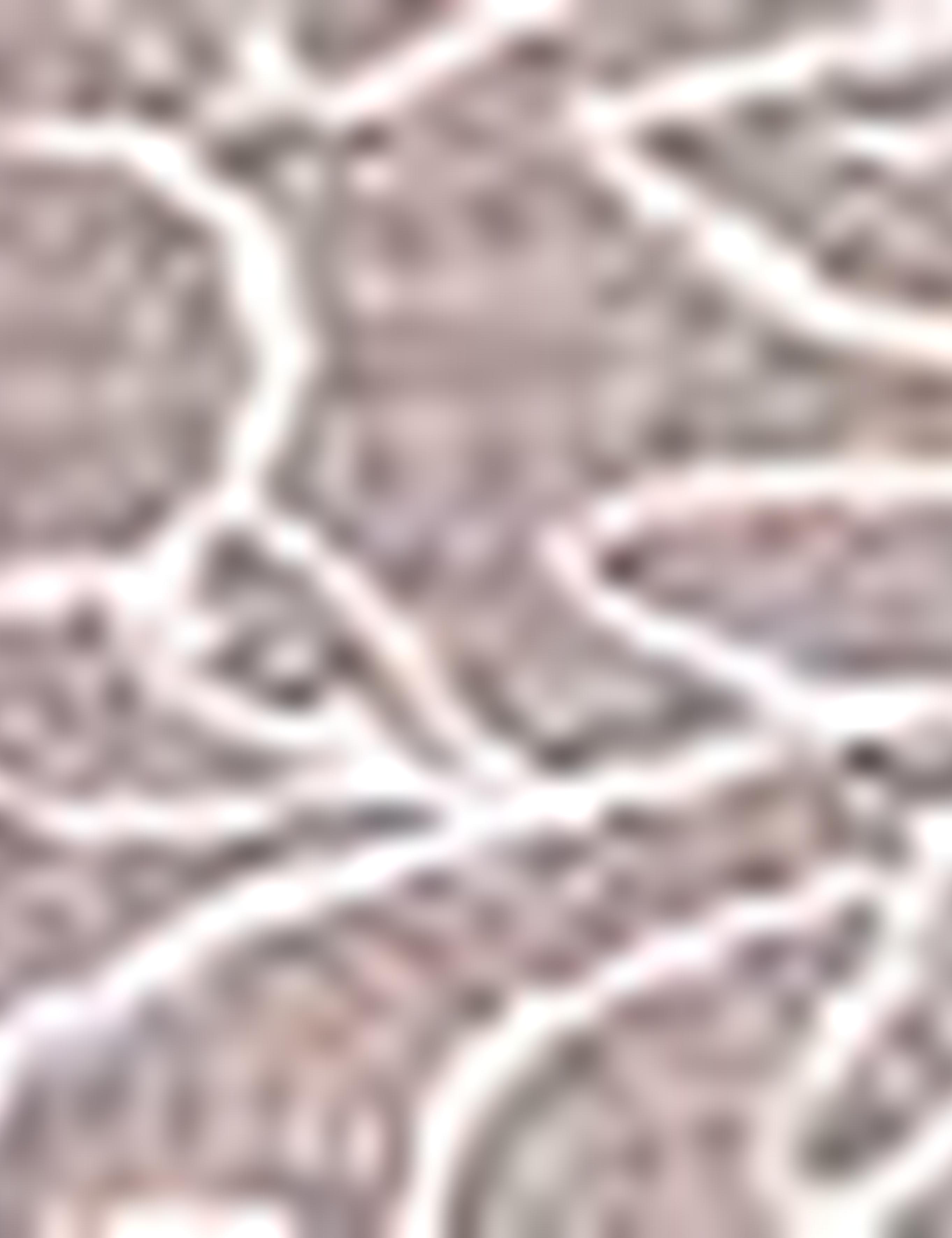 Açık Kahverengi Slim Fit Tişört