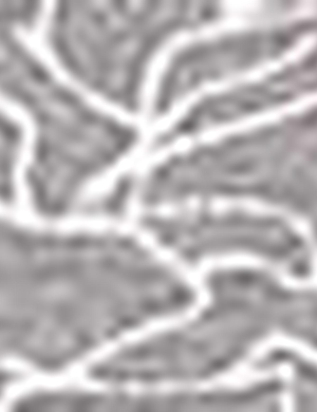 Gri Slim Fit T-Shirt - 50200688013