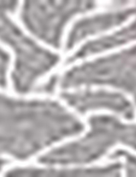 Gri Slim Fit T-Shirt - 50200688013