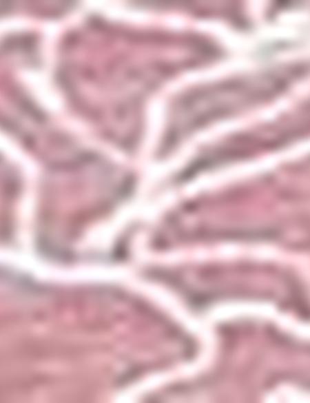 Kiremit Slim Fit Tişört - 50200688019