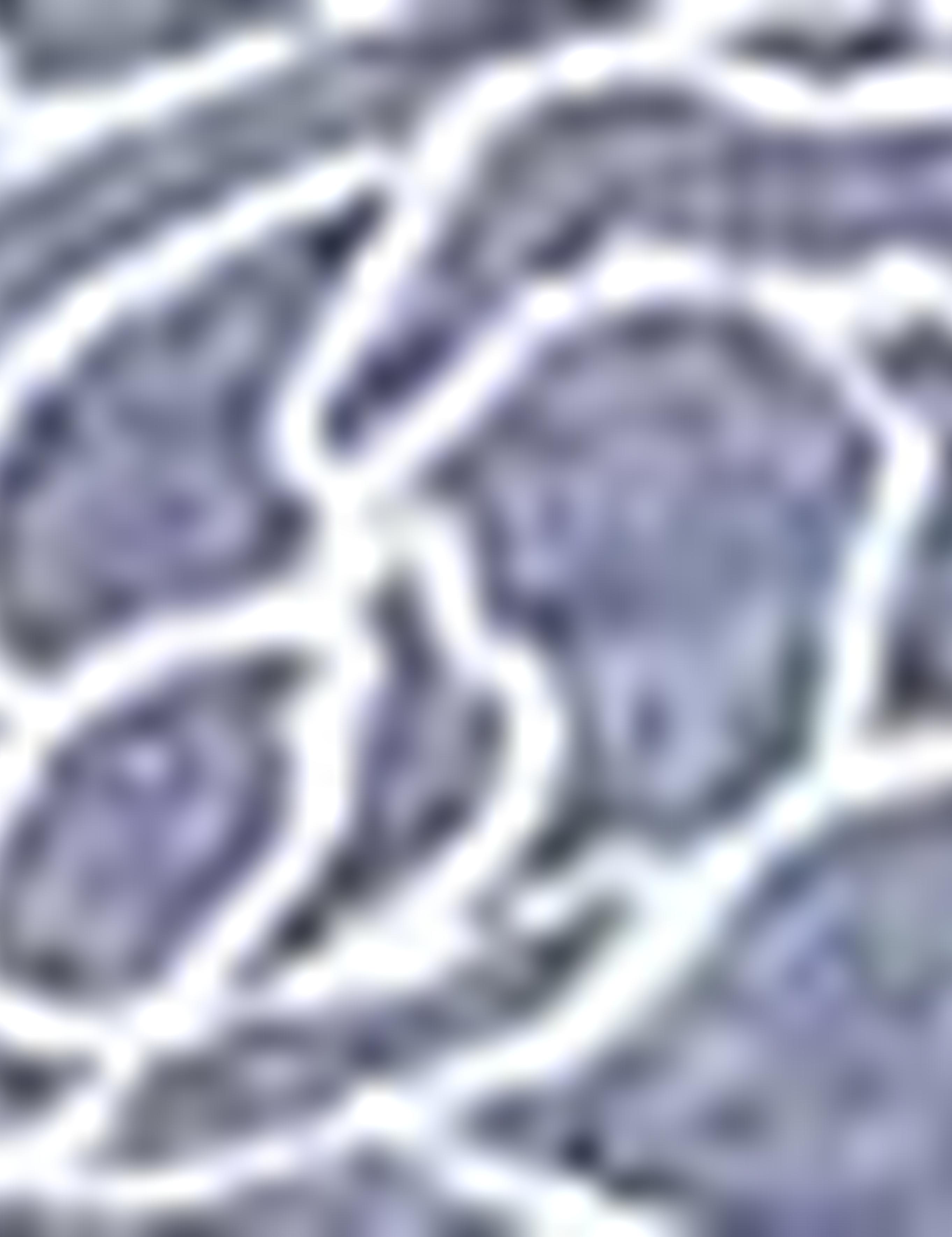 Lacivert Slim Fit Polo Yaka T-Shirt