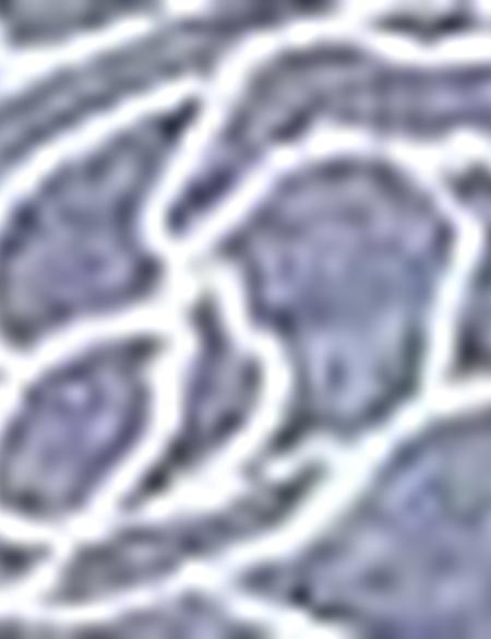 Lacivert Slim Fit Polo Yaka T-Shirt - 50200688043