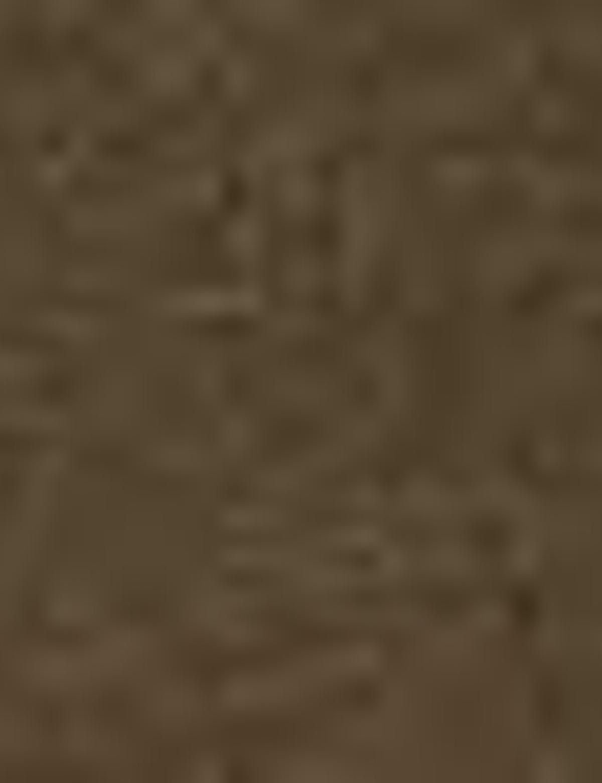 Haki T-Shirt - 50200726039