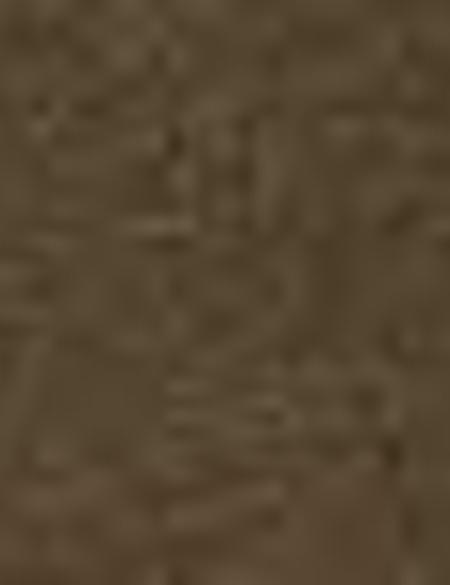 Haki T-Shirt - 50200726039