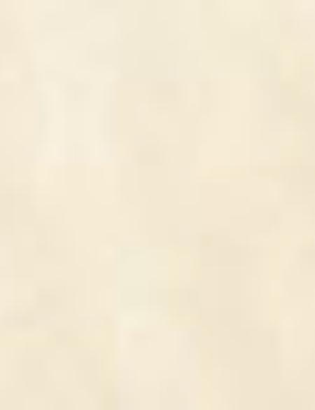 Açık Sarı Tişört - 50200762029