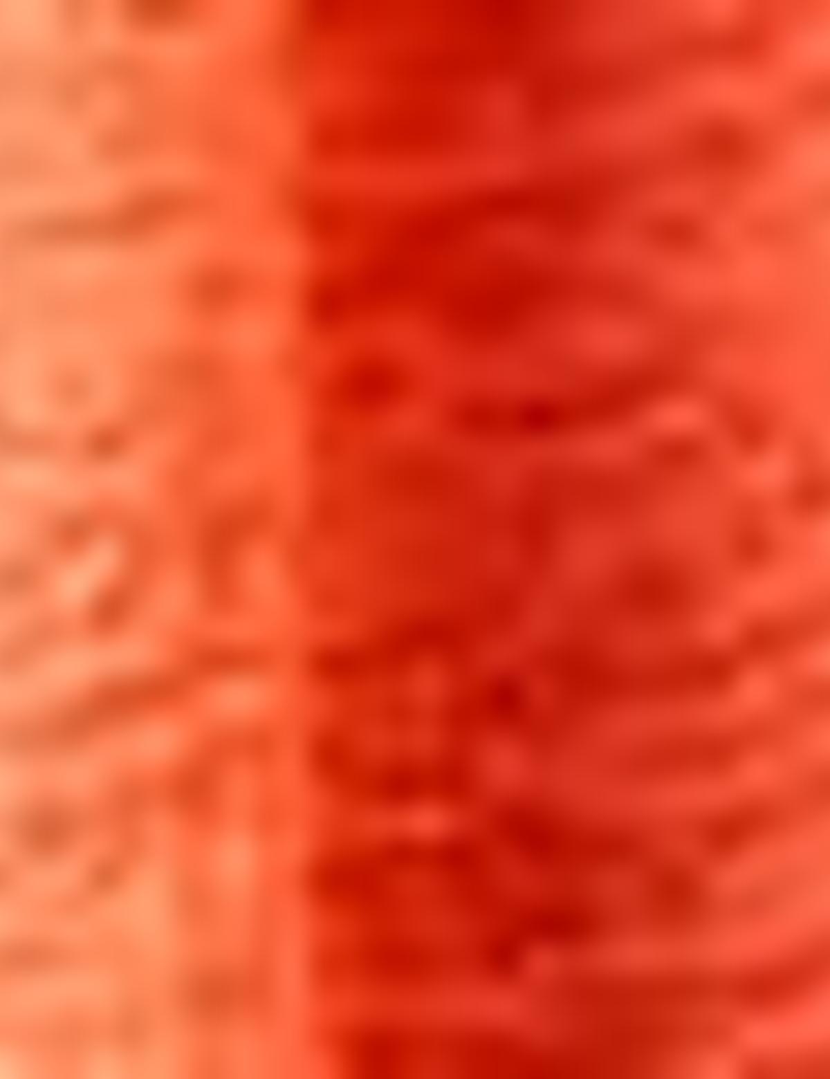 Nar Çiçeği Kolsuz Tişört - 50200783031