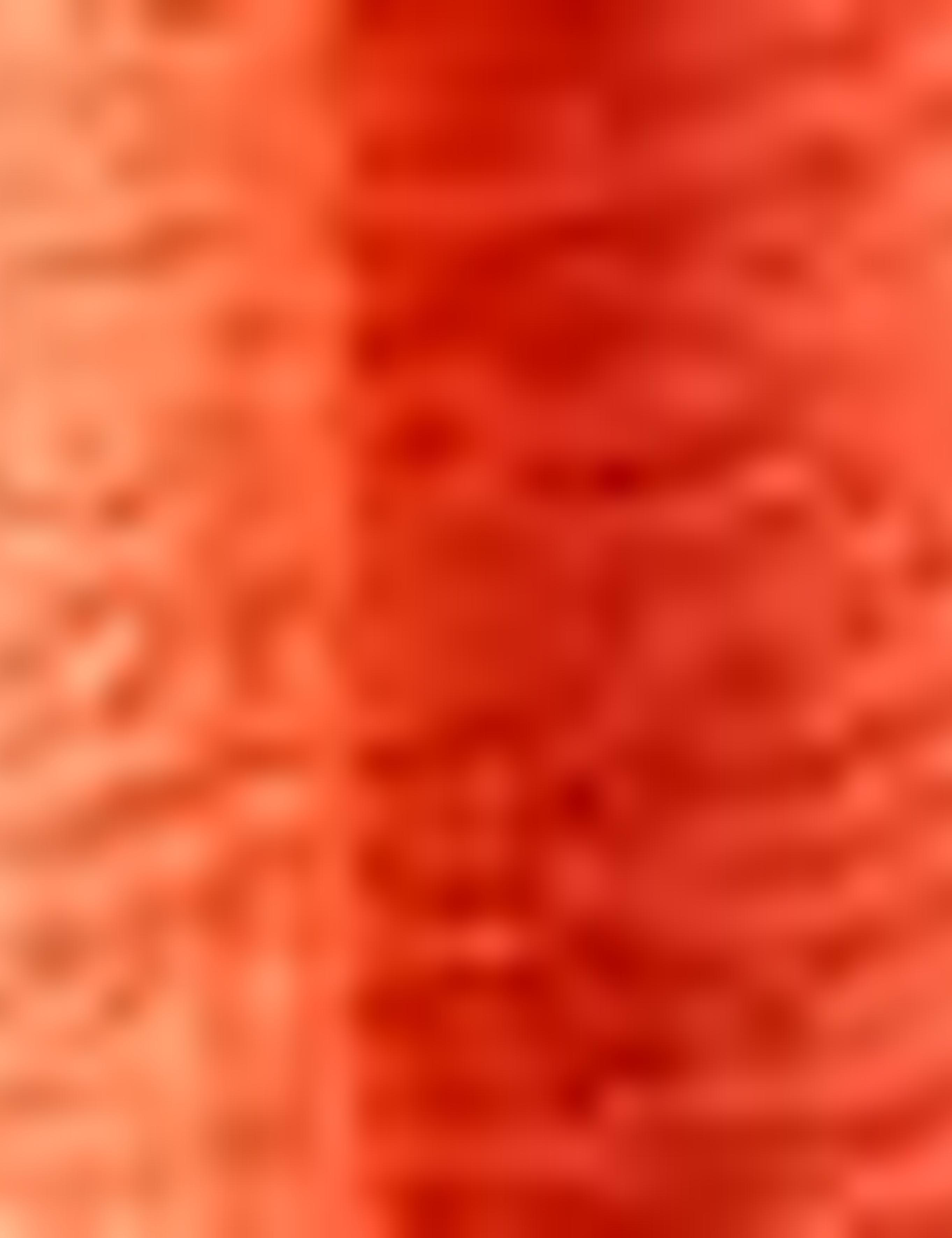 Nar Çiçeği Kolsuz Tişört