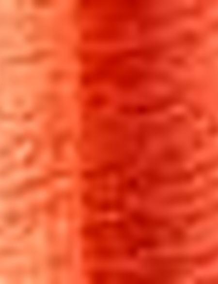 Nar Çiçeği Kolsuz Tişört - 50200783031