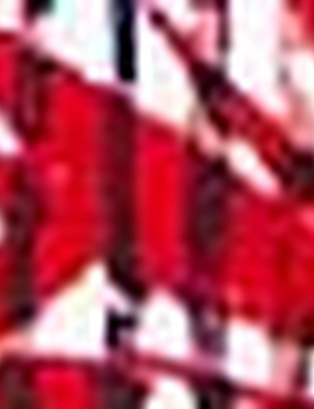 Kırmızı Slim Fit Polo Yaka T-Shirt - 50200810020