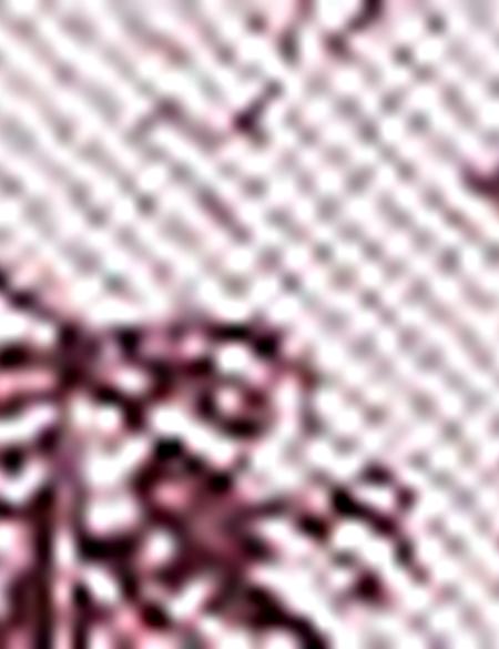 Bordo Slim Fit Tişört - 50200820020