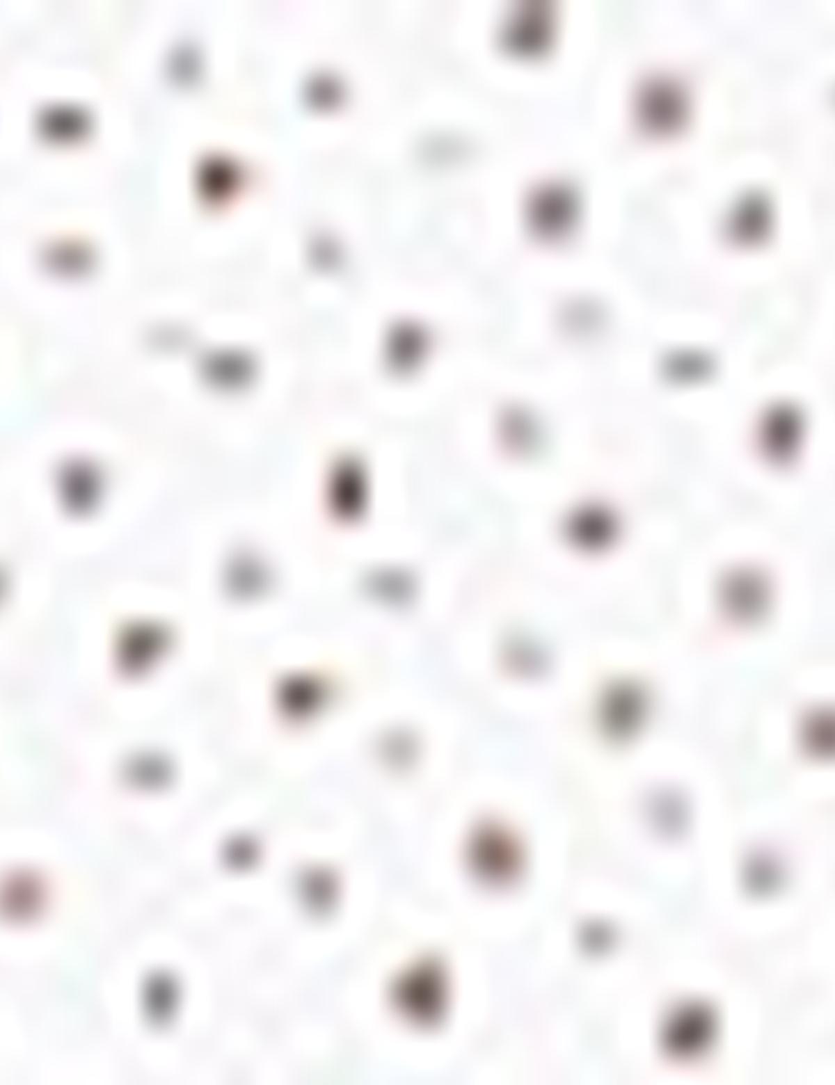 Beyaz Regular Fit Polo Yaka T-Shirt - 50200823001