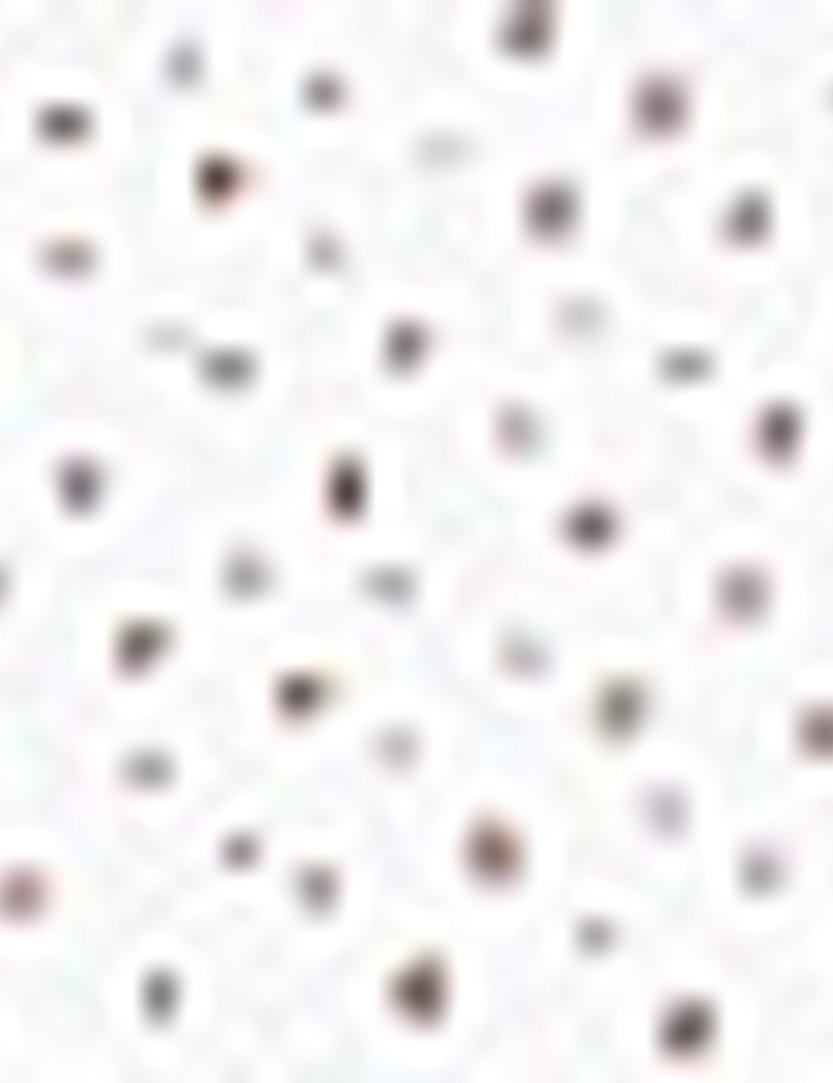 Beyaz Regular Fit Polo Yaka T-Shirt