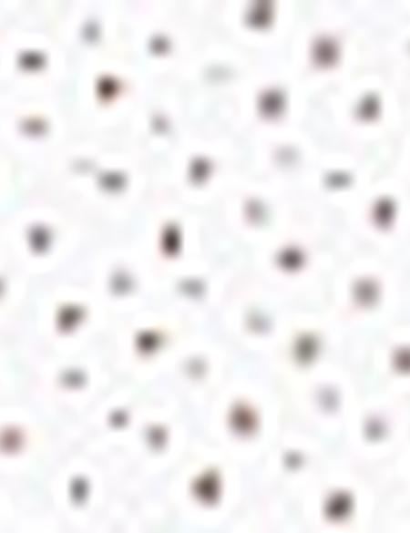 Beyaz Regular Fit Polo Yaka T-Shirt - 50200823001