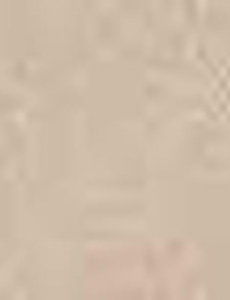 Camel Slim Fit Chino Pantolon - 50200826026