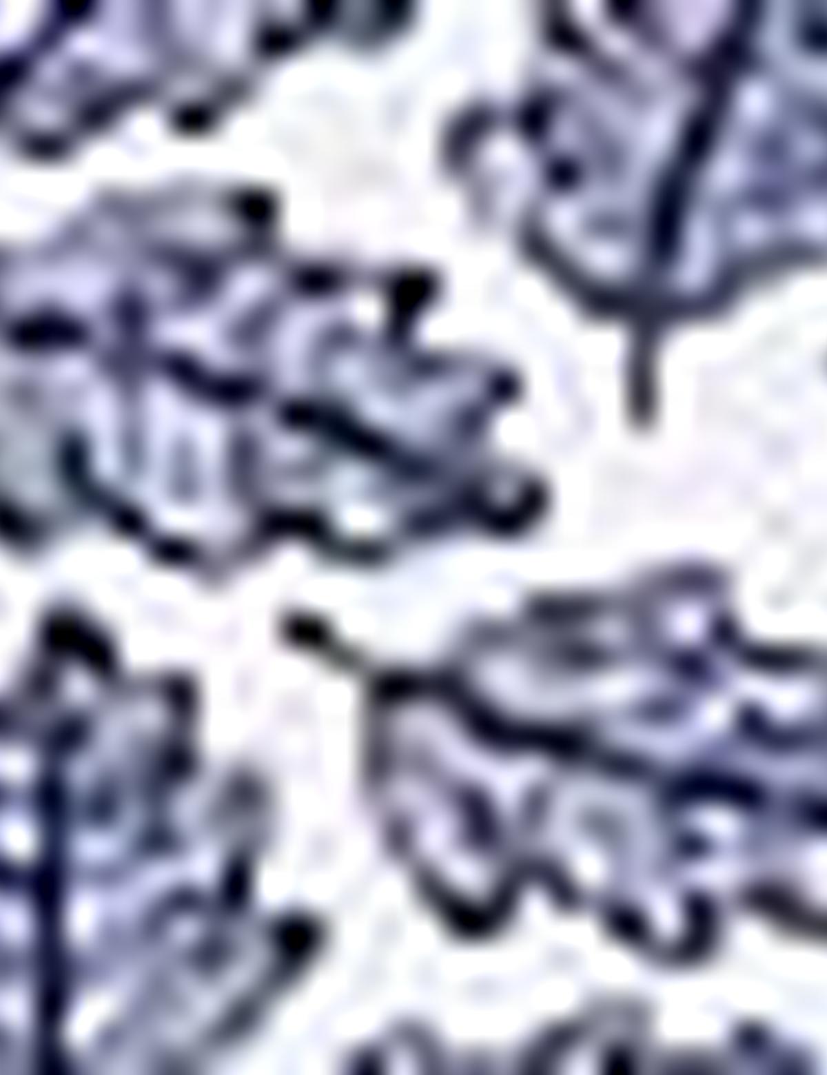 Lacivert Slim Fit Polo Yaka T-Shirt - 50200830021