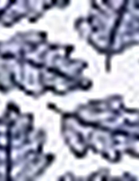 Lacivert Slim Fit Polo Yaka T-Shirt - 50200830021