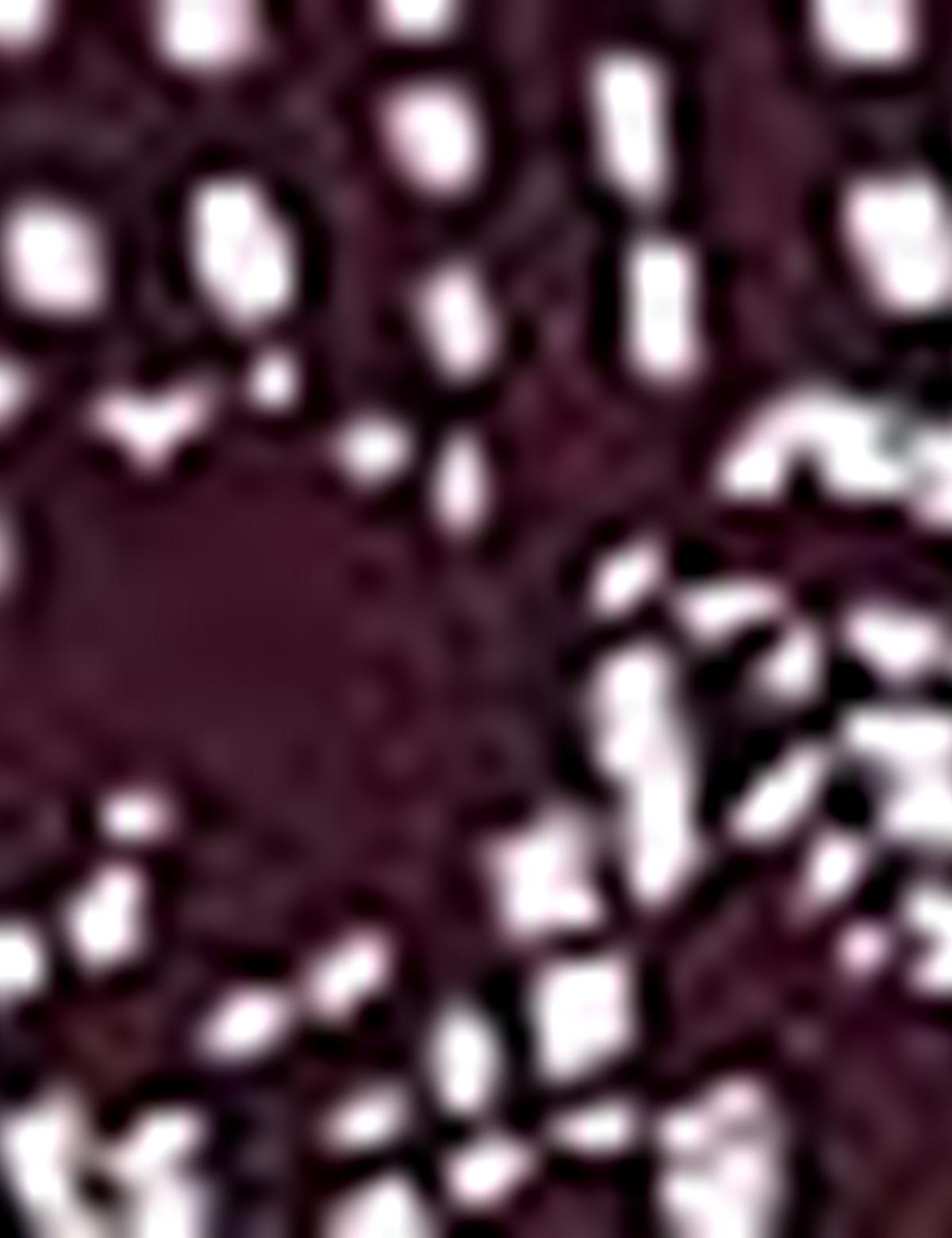 Bordo Slim Fit Polo Yaka T-Shirt - 50200831052