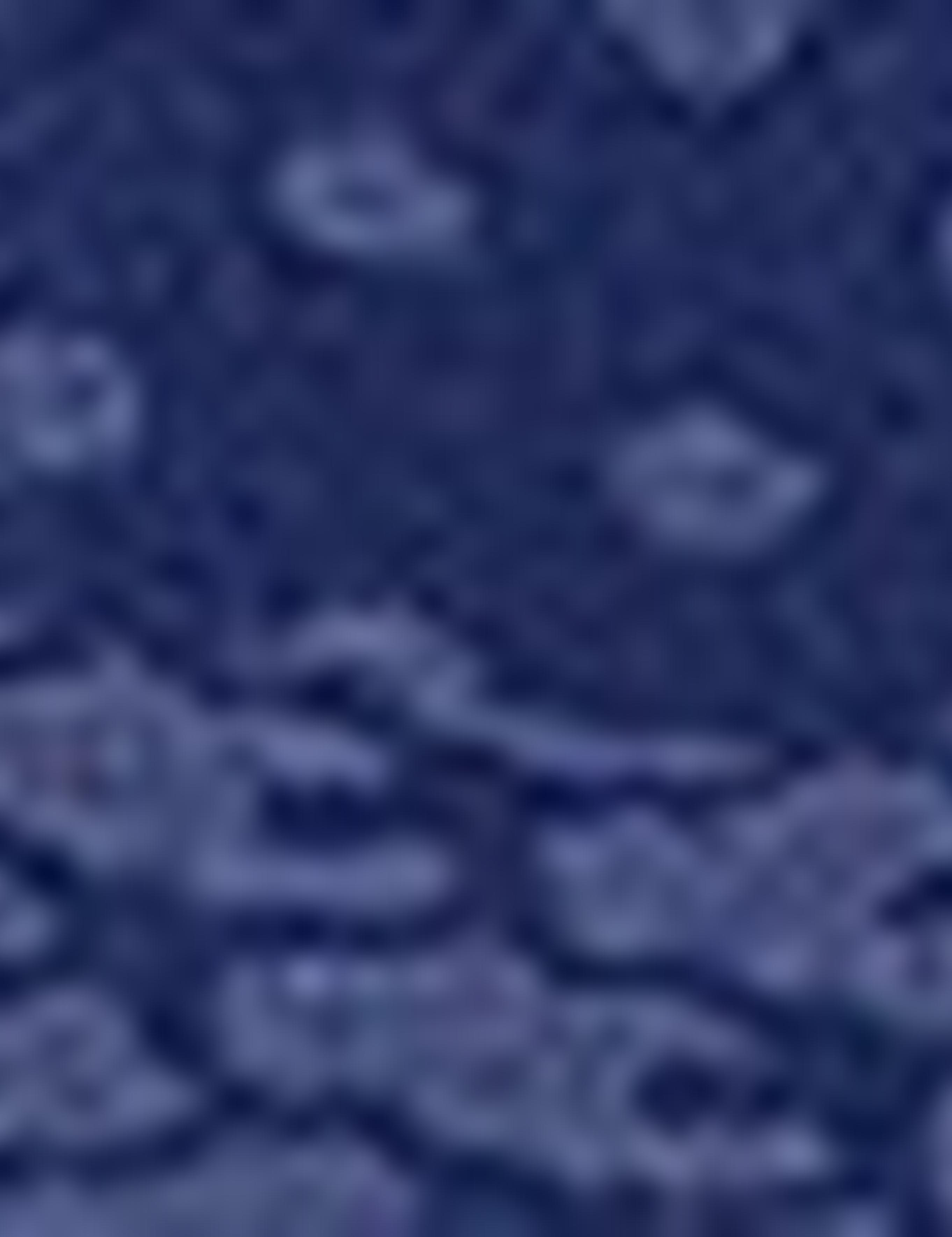 İndigo Slim Fit Polo Yaka Tişört