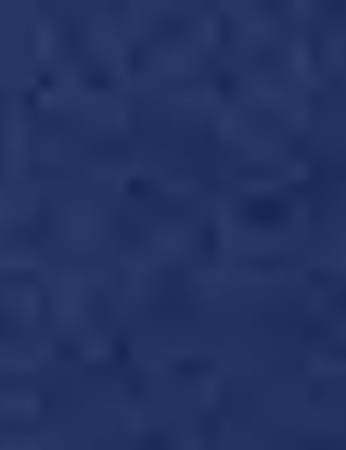 Lacivert Bermuda Şort