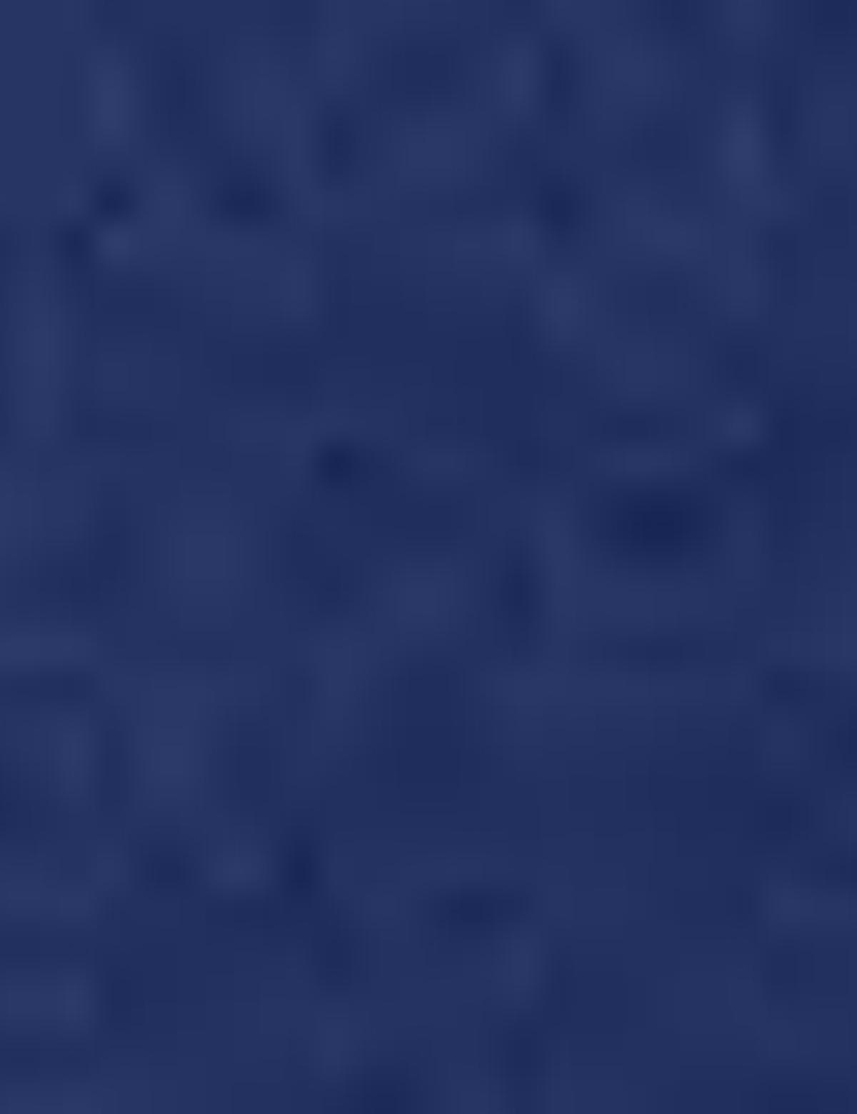 Lacivert Bermuda Şort - 50201244003