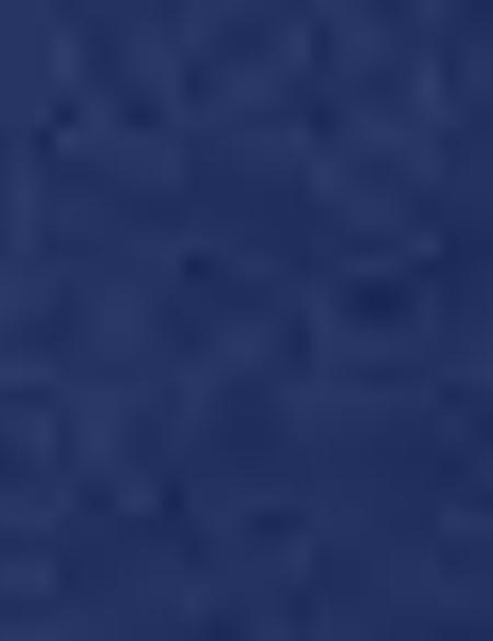 Lacivert Bermuda Şort - 50201244003