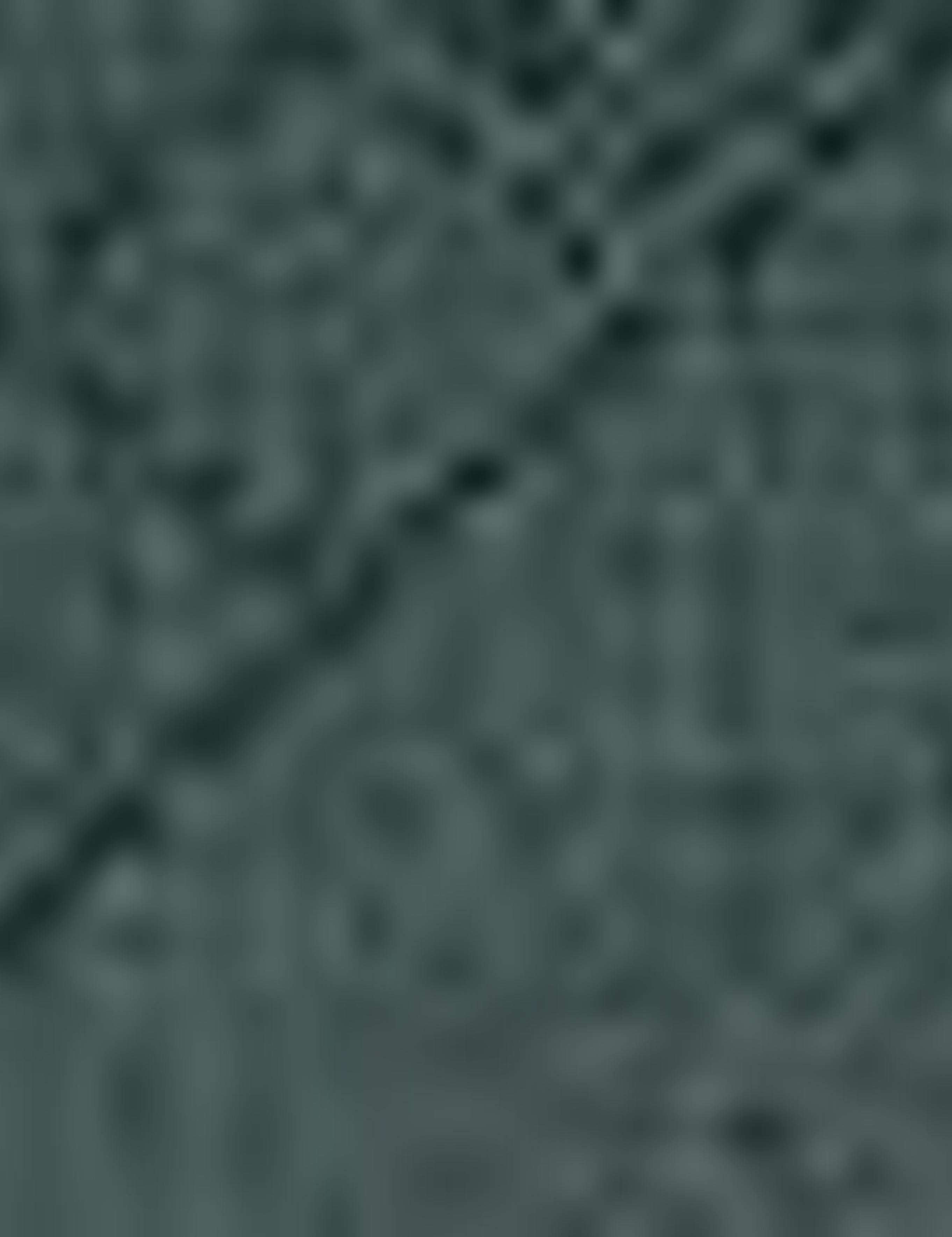 Yeşil Slim Fit Gömlek