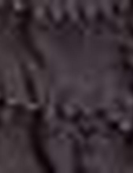 Kahverengi Mont - 50201695015